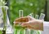 Green Oleo – Lancia GreenCos® UV, nuovo estere disperdente biobased per filtri UV